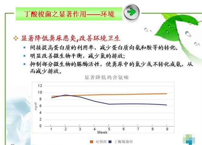 丁酸梭菌對環(huán)境的顯著效果.jpg