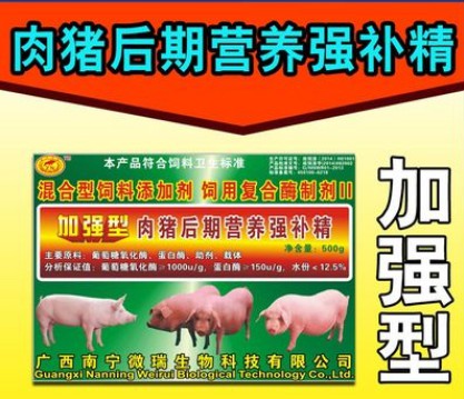 加強型肉豬后期營養強補精——肉豬后期短期安全無違禁催肥促進生長的好產品