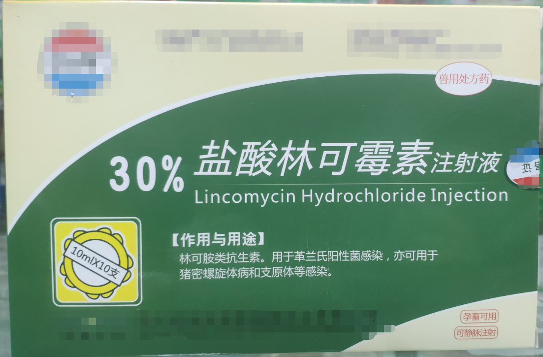 30%林可霉素注射液，用于革蘭氏陽性菌感染，亦用于母蓄的產后消炎，亦可用于豬密螺旋體和支原體感染