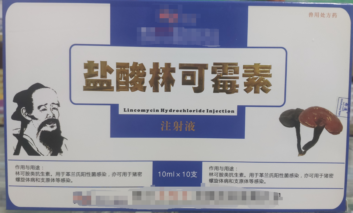 林可霉素注射液，用于革蘭氏陽性菌感染，亦可用于豬密螺旋體和支原體感染