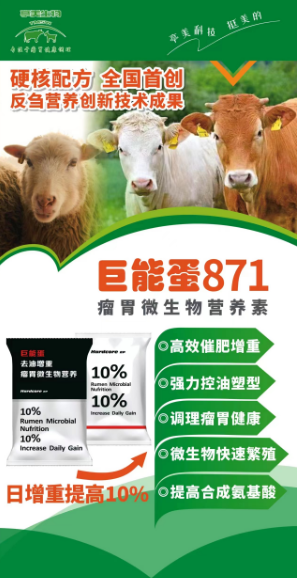 巨能蛋871（牛羊濃縮飼料）