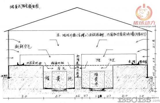 儲糞式豬舍截面圖