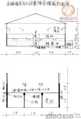 全漏縫高床水泡糞豬舍橫截剖面圖