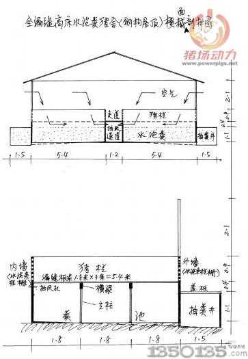 全漏縫高床水泡糞豬舍（鋼構(gòu)屋頂）橫截面剖析圖