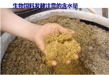 生物發(fā)酵飼料1.png