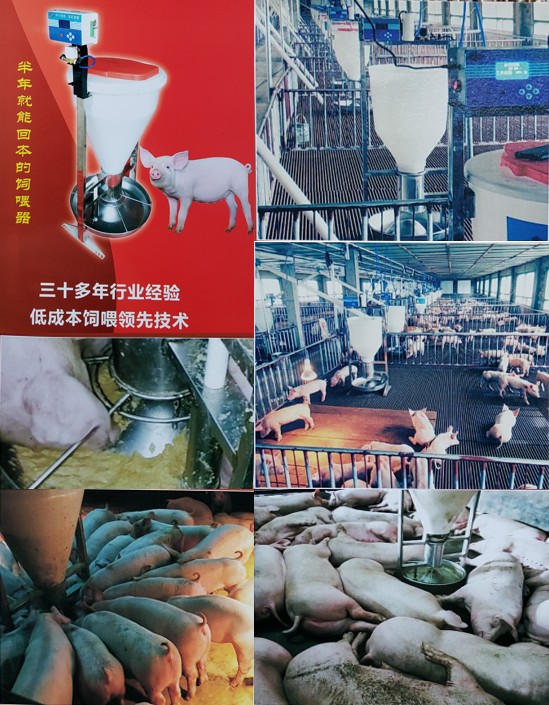 助農養豬液體飼料智能飼喂系統1.jpg