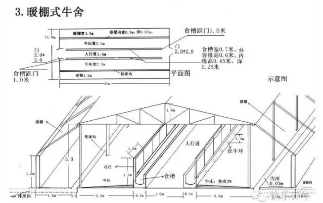 暖棚式牛舍平面設(shè)計圖紙