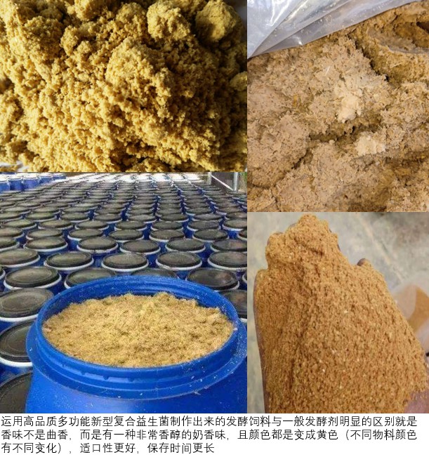 使用高品質多功能新型復合益生菌制作出來的發酵飼料為黃色.jpg