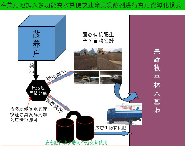 在集污池加入多功能糞水糞便快速除臭發(fā)酵劑進(jìn)行糞污資源化模式1.jpg