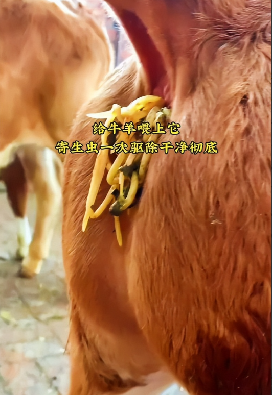 image.png image.png